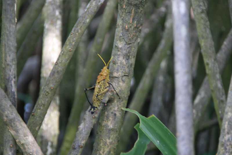 Mexico & Guatemala 2010 - 0952